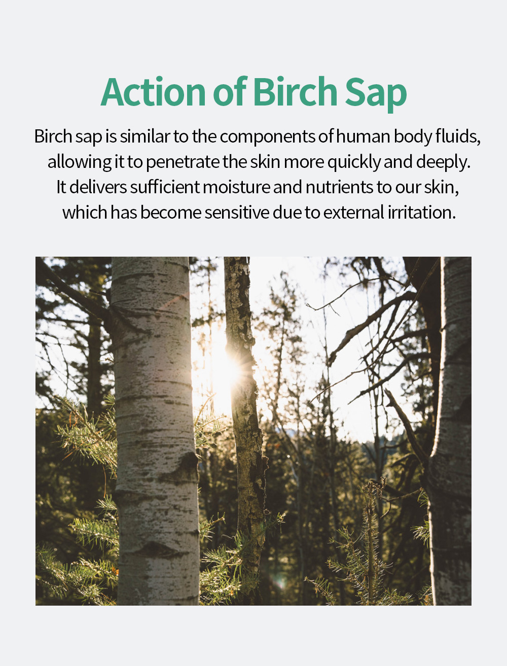 Betula Calming Dual Mist Details 2